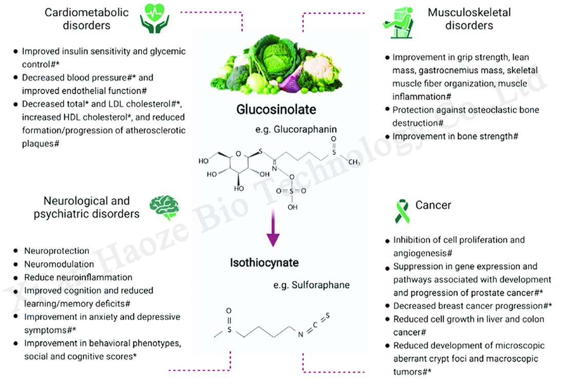 broccoli glucosinolate broccoli glucosinolate