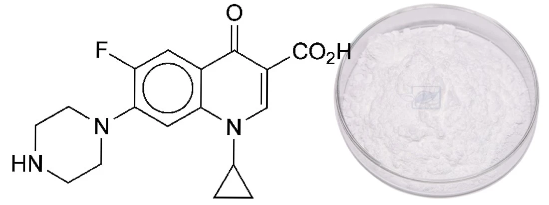 Ciprofloxacin 1 Ciprofloxacin 1