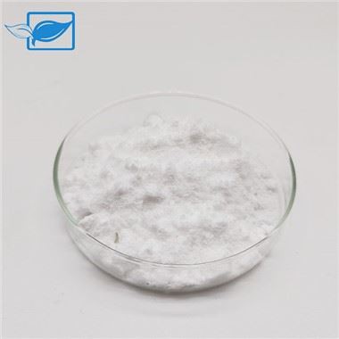 Aminoàcids de cadena ramificada