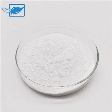 Lactobacillus Rhamnosus